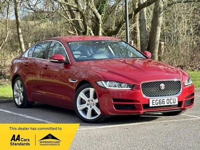 Used Jaguar XE Portfolio 240 HP (176 kW) 2017 Red Sedan