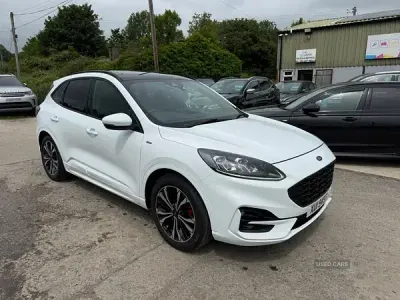 Used Ford Kuga ST-Line X 120 HP (88 kW) 2021 White SUV