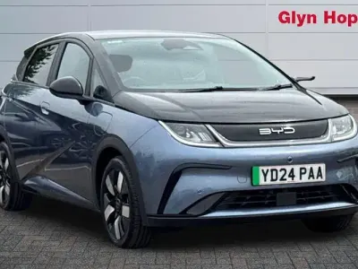 Usado BYD Dolphin