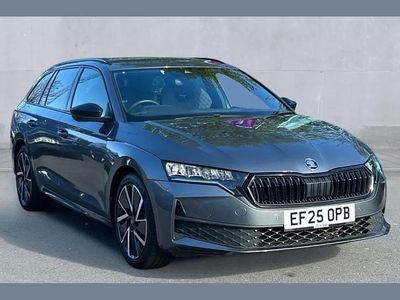 Used Skoda Octavia SportLine 147 HP (108 kW) 2025 Grey Estate