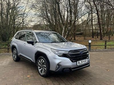 Used Subaru Forester 2025 Silver SUV