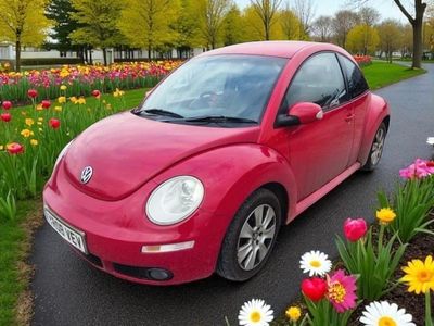 VW Beetle