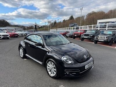 VW Beetle