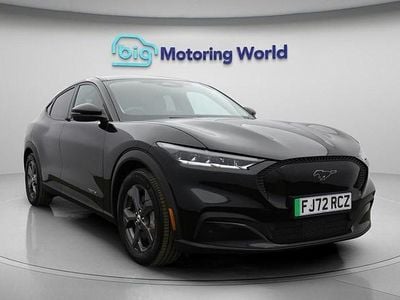 Used Ford Mustang Mach-E Standard Range 197 kW (269 HP) 2022 SUV