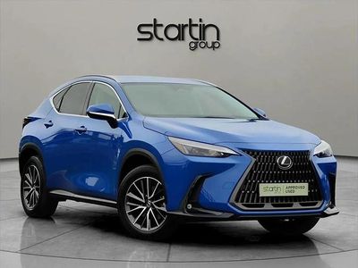 Used Lexus NX350h 239 HP (175 kW) 2023 Blue SUV