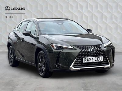 Used Lexus UX 300h 2024 Green SUV