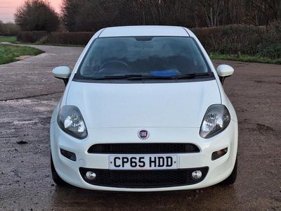 White Used 2016 Fiat Punto Easy Hatchback | £4,499 (Fair price)