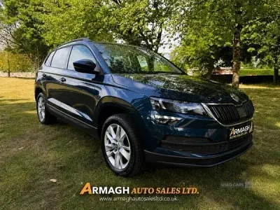 Used Skoda Karoq SE Technology 116 HP (85 kW) 2019 Blue SUV