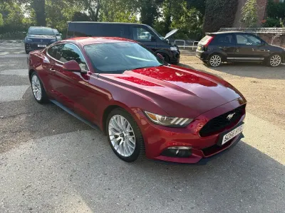 Used Ford Mustang