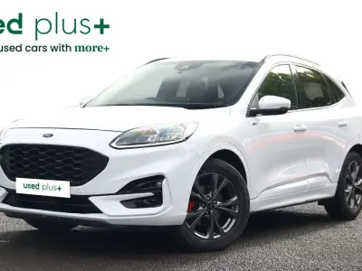 Used Ford Kuga ST-Line 190 HP (139 kW) 2023 White SUV