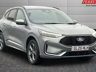 Used Ford Kuga ST-Line 242 HP (177 kW) 2025 SUV