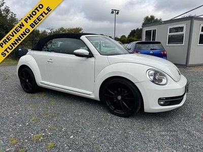 VW Beetle