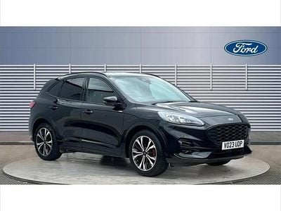 Used Ford Kuga ST-Line X 150 HP (110 kW) 2023 Black SUV