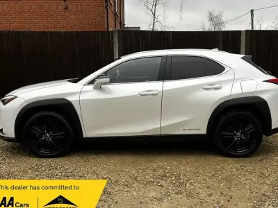 Used Lexus UX 300e