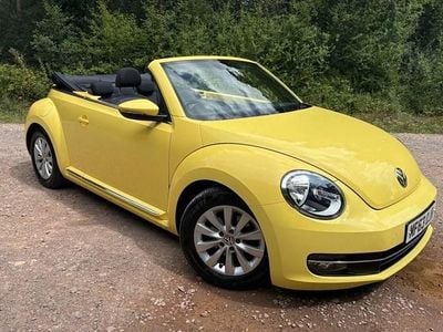 VW Beetle