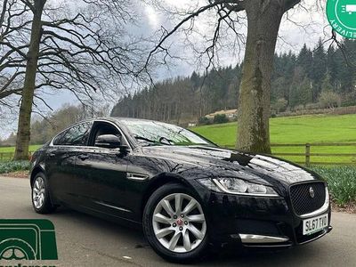 Used Jaguar XF Prestige 163 HP (119 kW) 2020 Sedan