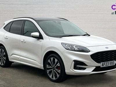 Used Ford Kuga ST-Line X 225 HP (165 kW) 2023 White SUV