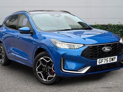 Used Ford Kuga ST-Line X 242 HP (177 kW) 2025 Blue SUV