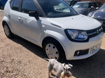 Used Suzuki Ignis SZ3 90 HP (66 kW) 2017 White SUV