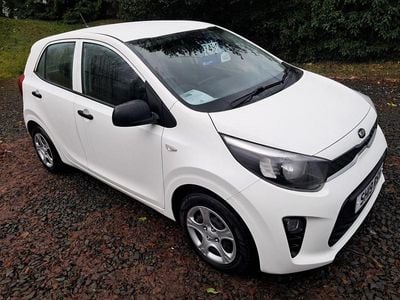 Used Kia Picanto 2019 White Hatchback