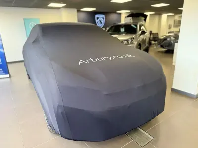 Usado Peugeot e-2008