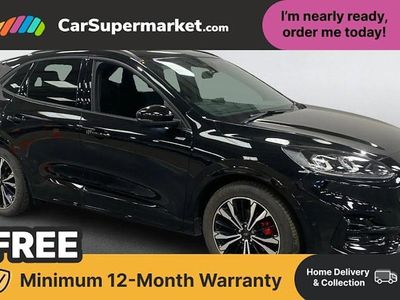 Used Ford Kuga ST-Line X 190 HP (139 kW) 2023 SUV