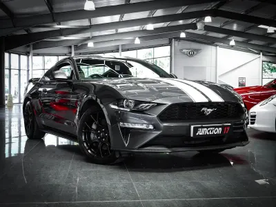 Usado Ford Mustang Fastback 310 HP (228 kW) 2020 Cinzento Coupé