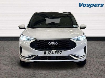 Used Ford Kuga ST-Line X 150 HP (110 kW) 2024 White SUV