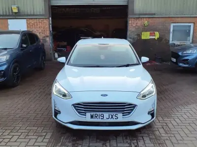 Used Ford Focus Zetec 125 HP (91 kW) 2019 White Hatchback