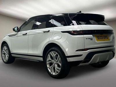 Used Land Rover Range Rover evoque SE Dynamic 309 HP (227 kW) 2023 White SUV