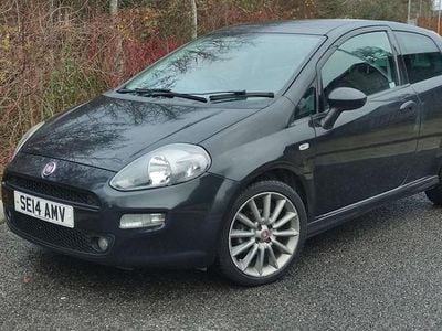Used 2014 Fiat Punto Hatchback | £2,500 (Good price)