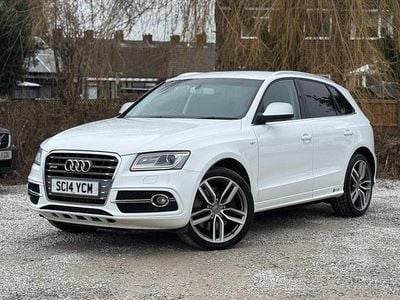 Used Audi SQ5 Comfort 313 HP (230 kW) 2014 White SUV
