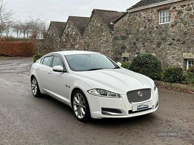 White Used 2014 Jaguar XF Premium Luxury Sedan | £5,950 (A bit pricey)