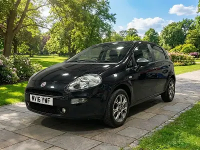 Usado Fiat Punto Easy Plus 2016 Preto Citadino
