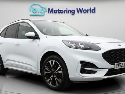 Used Ford Kuga ST-Line X 224 HP (164 kW) 2023 SUV