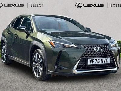 Used Lexus UX 300h 195 HP (143 kW) 2025 Green SUV
