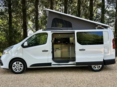 Used Renault Trafic 170 HP (125 kW) 2021 White MPV