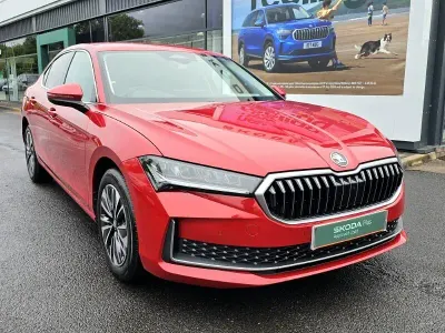Usado Skoda Superb