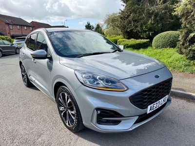 Used Ford Kuga ST-Line X 2023 Silver SUV