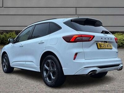 Used Ford Kuga ST-Line 239 HP (175 kW) 2025 White SUV