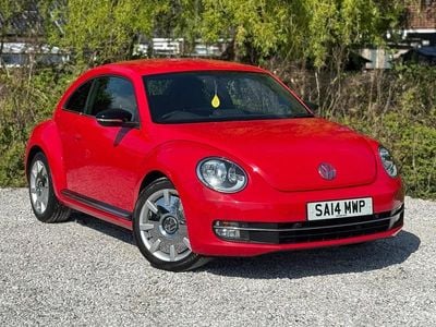 VW Beetle
