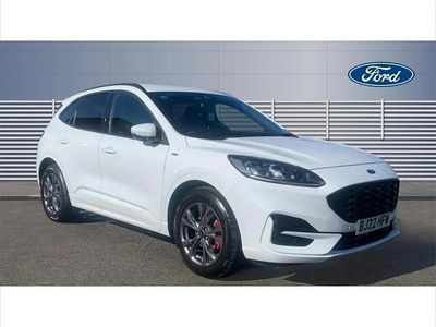 Used Ford Kuga ST-Line 120 HP (88 kW) 2022 White SUV