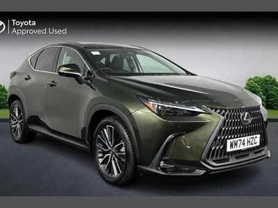 Used Lexus NX450h+ 301 HP (221 kW) 2025 Green SUV