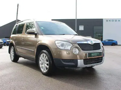 Used Skoda Yeti Elegance 77 HP (56 kW) 2022 Brown SUV