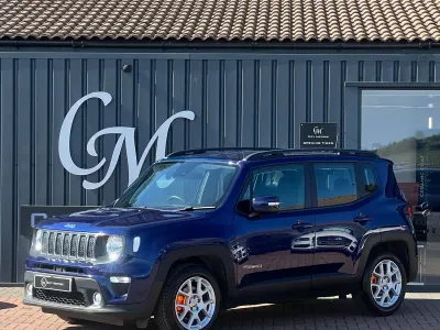 Used Jeep Renegade Longitude 120 HP (88 kW) 2018 Blue SUV