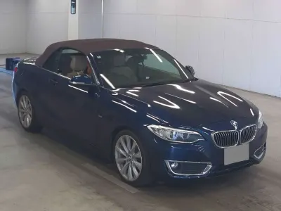 Used BMW 220 Luxury Line 2016 Blue Cabriolet