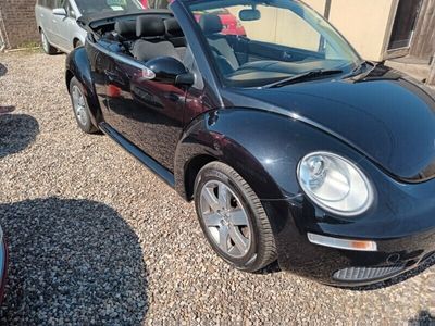 VW Beetle