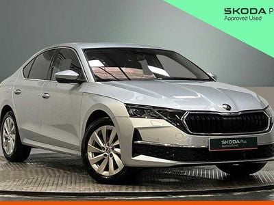 Begagnad Skoda Octavia First Edition 110 HK (80 kW) 2024 Silver Halvkombi