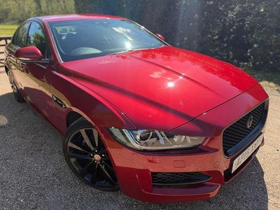 Used Jaguar XE R-Sport 2015 Red Sedan