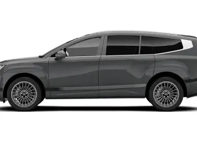 Usado Hyundai Ioniq 9
